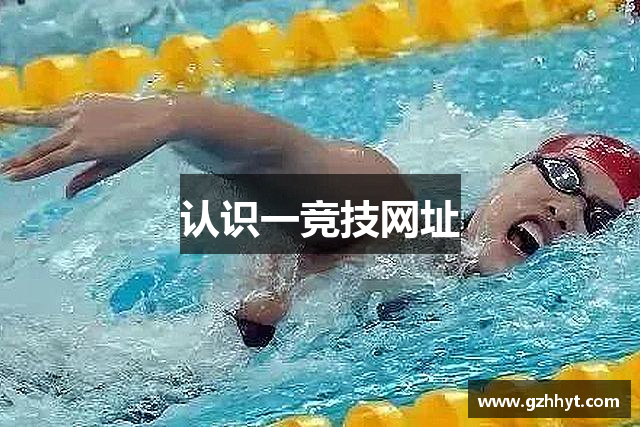 认识一竞技网址